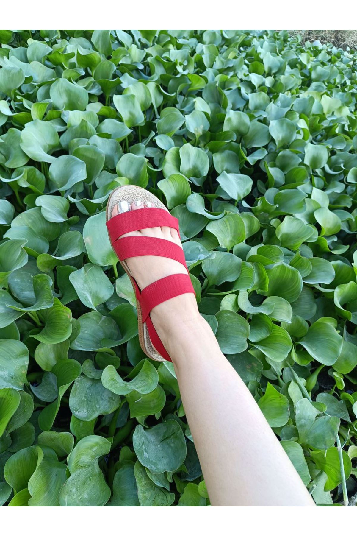 İnce Taban Kadın Günlük Comfort Kırmızı Ayakkabı Kaymaz Taban Lastikli 
