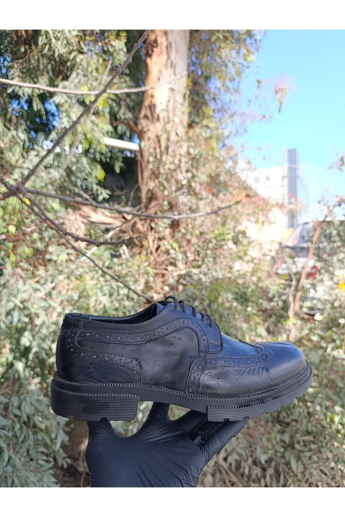 Asil Nokta Erkek Nokta Detaylı Bağcıklı Hakiki Deri Klasik Ayakkabı