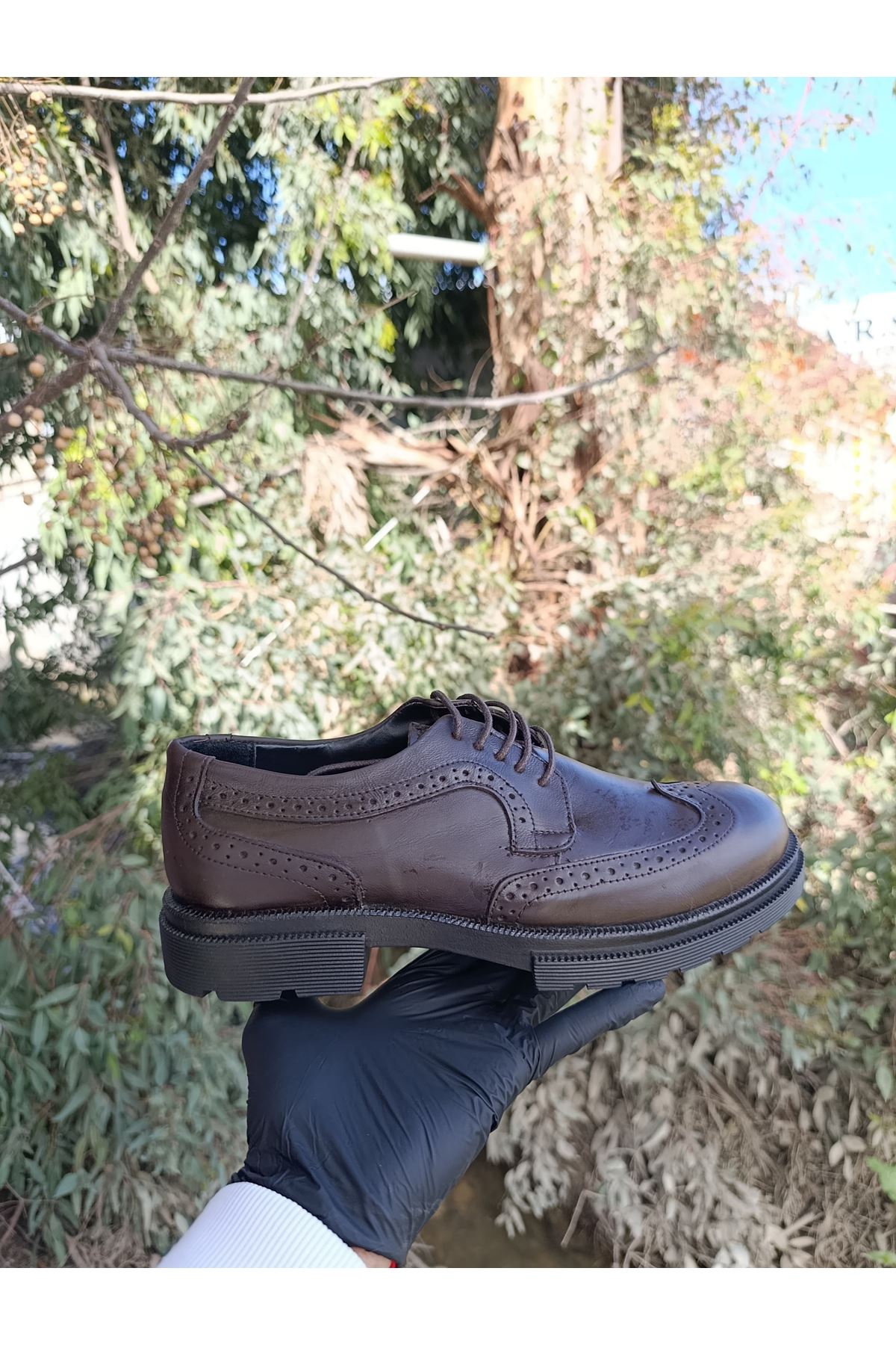 Asil Nokta Erkek Nokta Detaylı Bağcıklı Hakiki Deri Klasik Kahverengi Ayakkabı 