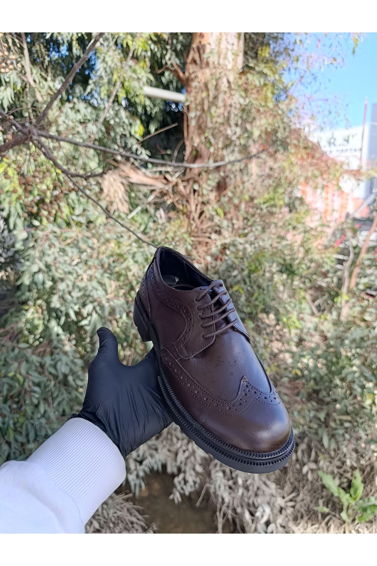 Asil Nokta Erkek Nokta Detaylı Bağcıklı Hakiki Deri Klasik Kahverengi Ayakkabı 